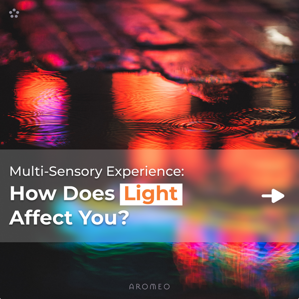 How Does Light Affect You?