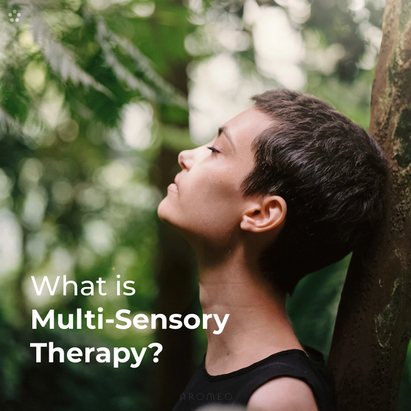 What is Multi-Sensory Therapy