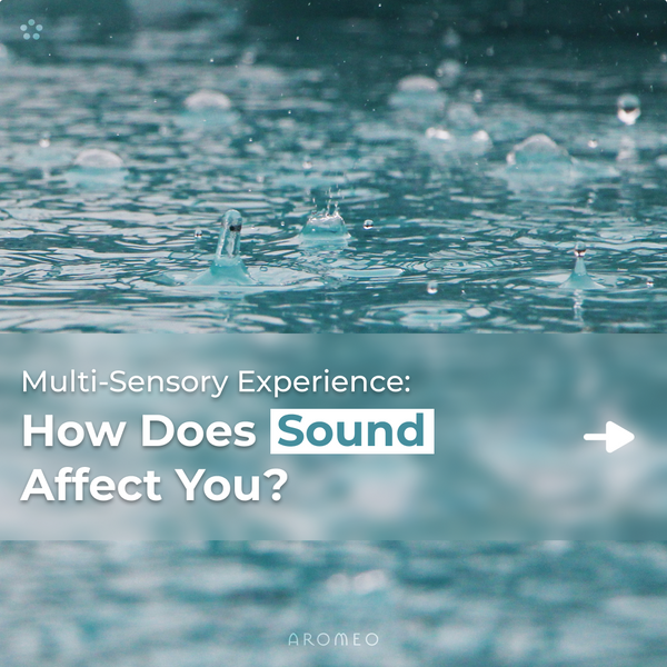 How Does Sound Affect You?