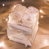 Forever Roses Box #4 Roses, White