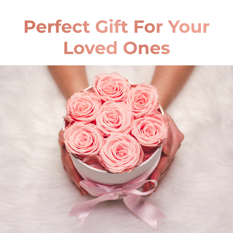  AROMEO 7 Pink Roses Gift That Lasts, Roses for Delivery Prime, Fresh Flowers for Delivery Prime Tomorrow or Next Day