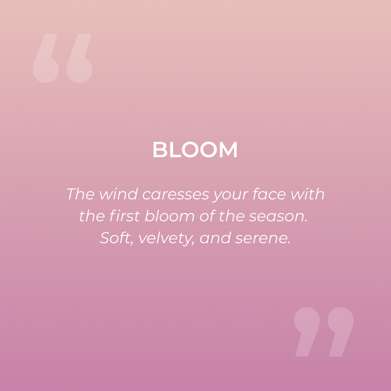 Bloom Scent Pod